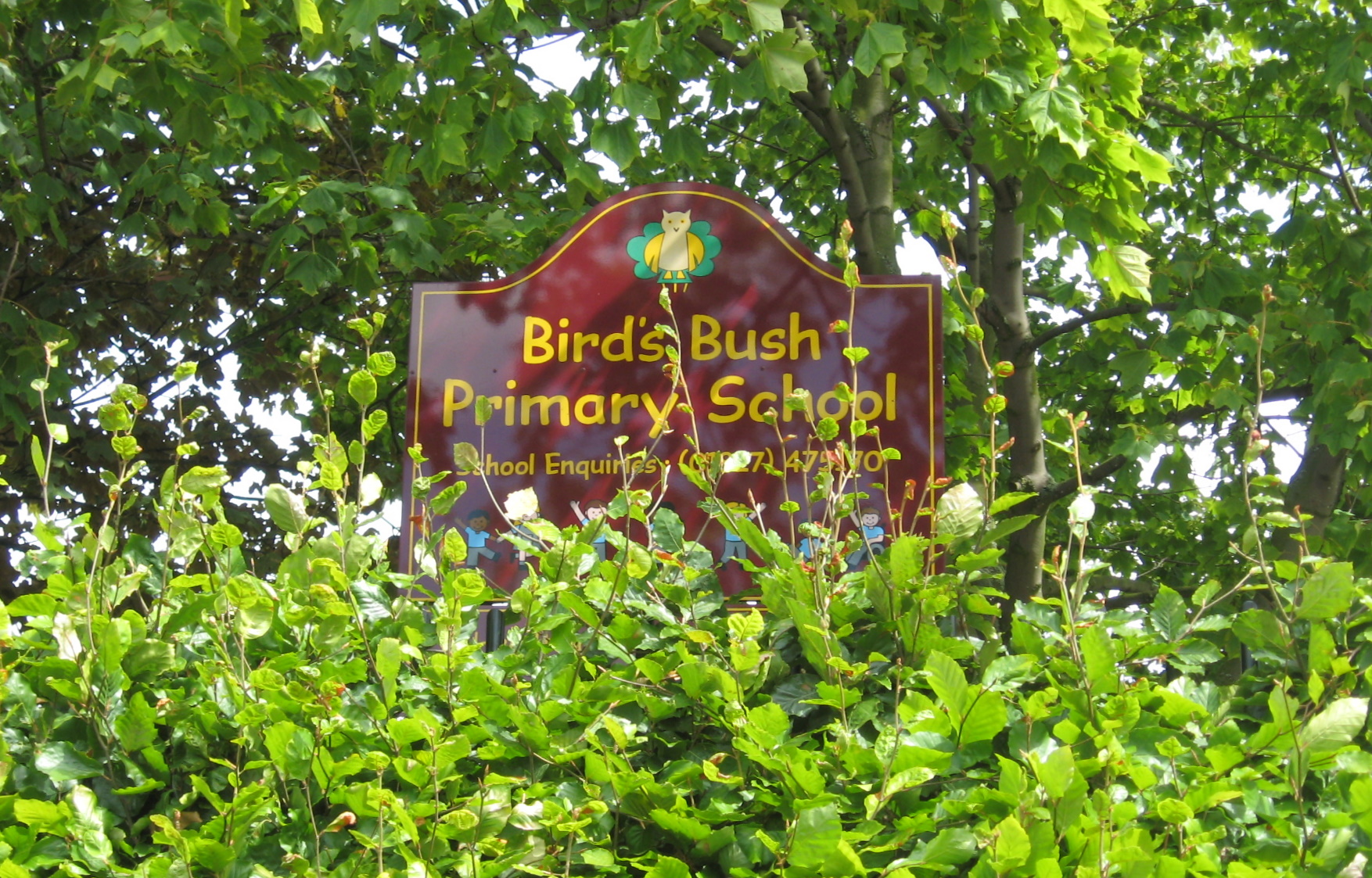 Birds bush